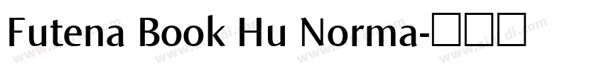 Futena Book Hu Norma字体转换